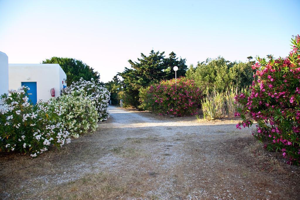 Appart hôtel Prasino Oniro Tínos
